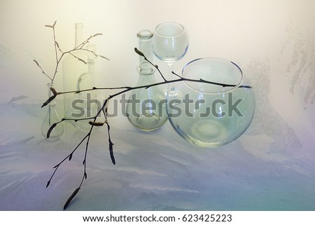 Glass vase with a branch on a light background