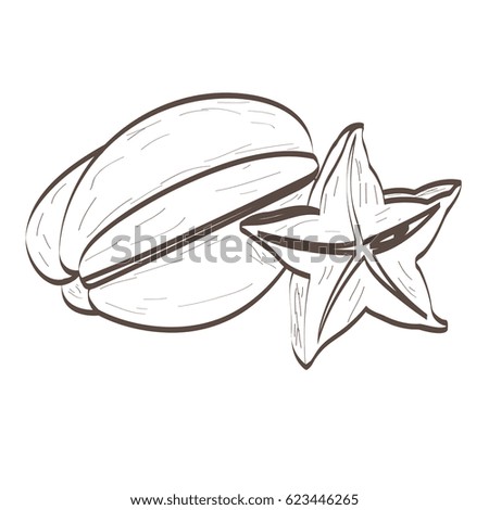 Isolated outline of a pair of carambolos, Vector illustration