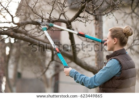 Young woman taking care of garden. Cutting tree branch. Royalty-Free Stock Photo #623449865