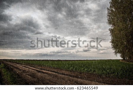 Rainy day in the nature. Rural landscape