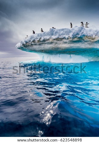 Beautiful icebergs with adelie penguins on top flow near Antarctic peninsula
