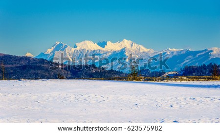 The snow covered peaks of the Mount Robie Reid seen from Glen Valley in the Fraser Valley of British Columbia, Canada on a cold winter day and snow covered fields under clear blue sky Royalty-Free Stock Photo #623575982