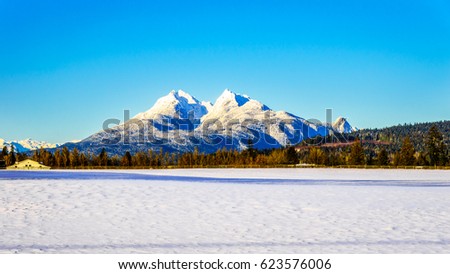The snow covered peaks of the Golden Ears mountain in Golden Ears Provincial Park seen from Glen Valley in the Fraser Valley of British Columbia, Canada on a cold winter day and snow covered fields Royalty-Free Stock Photo #623576006