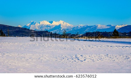 The snow covered peaks of the Mount Robie Reid seen from Glen Valley in the Fraser Valley of British Columbia, Canada on a cold winter day and snow covered fields under clear blue sky Royalty-Free Stock Photo #623576012