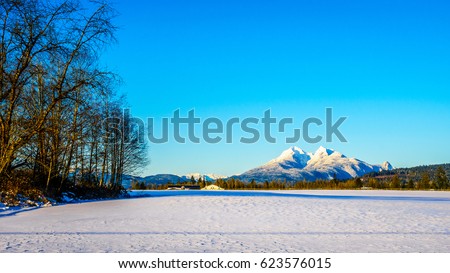 The snow covered peaks of the Golden Ears mountain in Golden Ears Provincial Park seen from Glen Valley in the Fraser Valley of British Columbia, Canada on a cold winter day and snow covered fields Royalty-Free Stock Photo #623576015