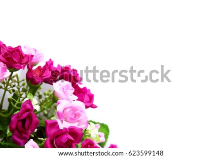 The plastic pink rose flowers on white background for printing notepad, card, greeting, invitation card to use in Valentine's Day or wedding.