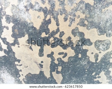 Dirty fungus or mold on the wall texture background
