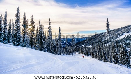 Skier going down the ski slopes surrounding the alpine village of Sun Peaks in the Shuswap Highlands of central British Columbia, Canada on a late afternoon  Royalty-Free Stock Photo #623632736