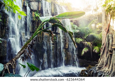 Beautiful waterfal in jungle or tropical forest. Very humid and warm climate with tropical plants.