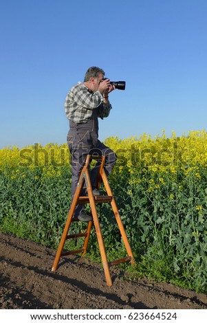 Photographer taking pictures of rapeseed field from ladder