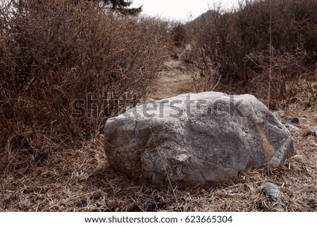 Photo of a large grey stone lying among dry bushes without leaves and dry grass on a sunny day in the mountains.