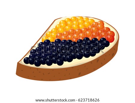 Vector illustration of the tasty sandwich with black and red caviar isolated on the white background.