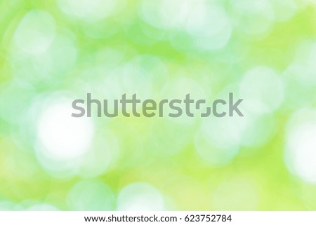 Green and white bokeh background from natural