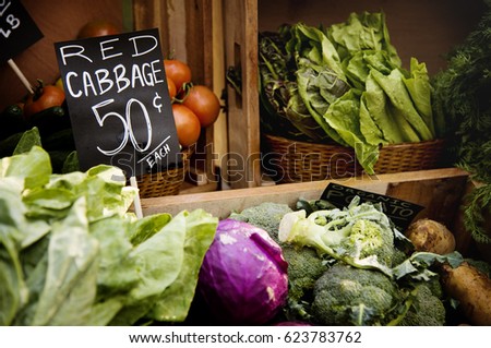 Fresh Local Organic Vegetable at Farmers Market