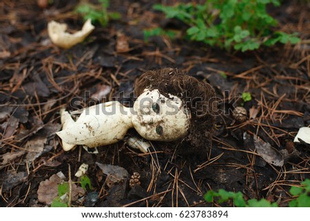 Abandoned broken doll lies in the leaves