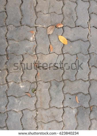 Leaf put on concrete brick floor.