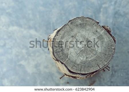Old timber on the concrete floor.
