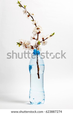 Beautiful branch and a bottle of water