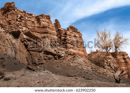Tree, red rocks and sky with clouds. Mountain landscape