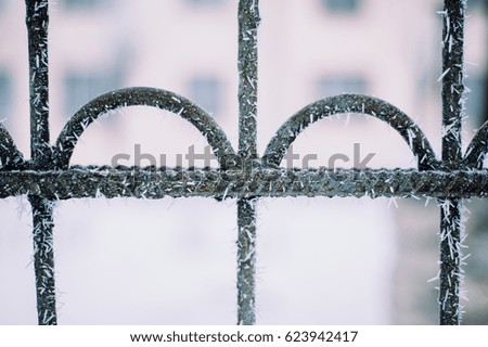 metal fence in the frost