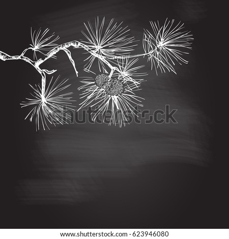Merry Christmas greeting card.Pine branch with cone hand drawn Holiday design for greeting cards, calendars, posters, prints, invitations. Vector illustration. chalk drawing on the blackboard