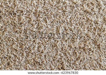 Light yellow shaggy carpet sample, a closeup shot of rug background texture. Knitted fabric