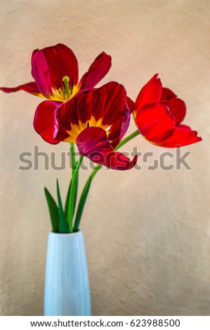 watercolor filter of colorful tulip in jar / photo art effect