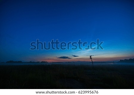 Night Landscape with Mist and Clear Blue Sky.