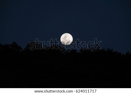 Moon with dark tree background at night 