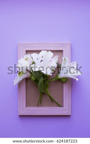 Empty pink photo frame with bouquet of white Alstroemeria on lilac colorful background. Spring composition. Springtime card. 