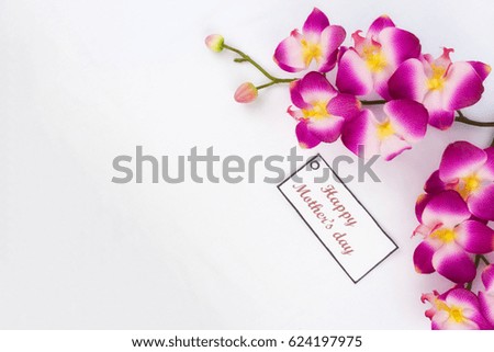 orchid for mother's day
