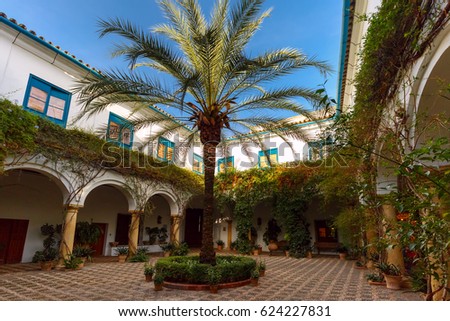 Traditional house and court with flower and palm tree in the sunny day, Cordoba, Andalusia, Spain