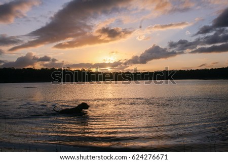 A view of Lake Kurwongbah as the sun is setting. This photo was taken in Brisbane, Australia. 
