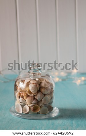 Seashells  in glass mini dome. Lights on the background. Memories about vacation