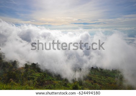 The landscape photo, beautiful sea fog in morning time at Phu Tub Berk Viewpoint, Phu Hin Rong Kla National Park in Thailand