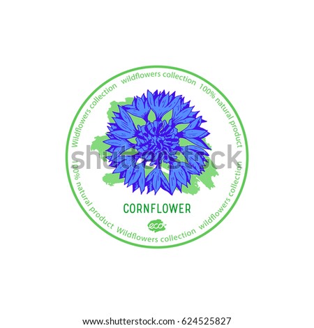 Cornflower vector illustration. Wildflowers collection. Medicinal herbs. Design for eco, nature products,food, pharmacy cosmetics, body care product, covers, cards, packaging, labels, stickers.