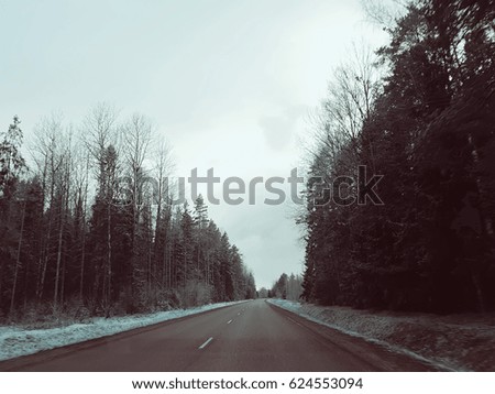 Landscape with asphalt road and forest at winter.