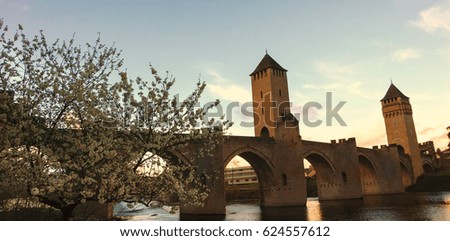 Cahors (France). Valentre bridge over Lot river at evening. Blossoming tree.