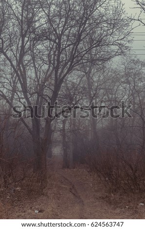 Walking in the fog.   rail road tracks , the prospect forward . 