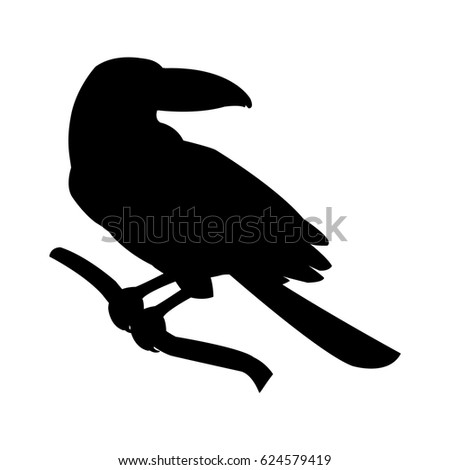tropical bird icon image 