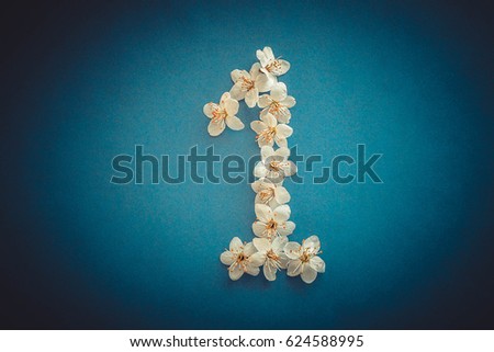 White flowers and the figure one made of tree blossoms. Spring concept. Blue background. Top view. 1 number tree white flowers. White flowers. One number on blue background. First birthday date
