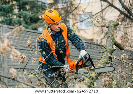 Arborist at work.  lumberjack working with a chainsaw, logging in the park. Royalty-Free Stock Photo #624592718