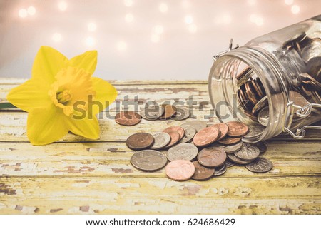 Money jar with spilled coins savings motivational concept on wooden board with yellow daffodil flower 