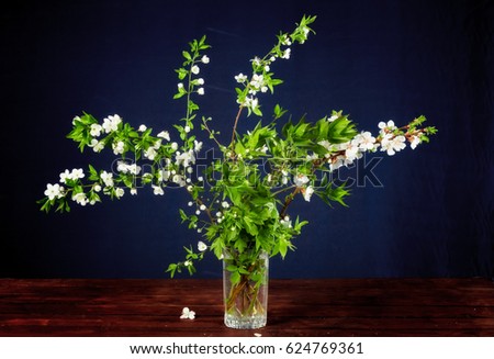 Still-life blooming cherry. The still life is made on a wooden table and dark blue background. Bright contrast of cherry blossoms and dark background.