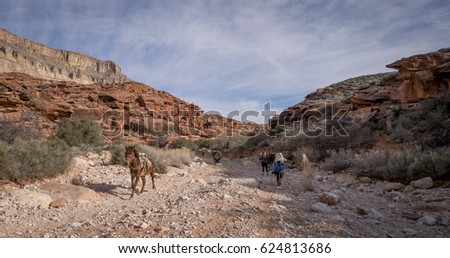 Horses running by group of Hikers backpacking to Havasu Falls of the Grand Canyon, Arizona Royalty-Free Stock Photo #624813686