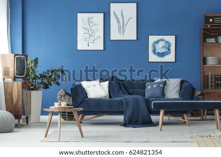 Cyan living room with navy sofa and wooden decoration