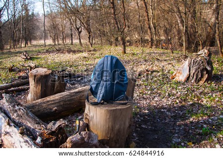 backpack tourist in the woods on a stump.
