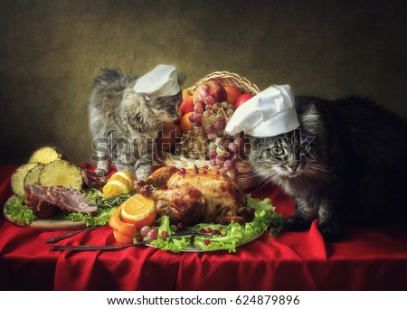 Thanksgiving Days greeting card with funny cats
