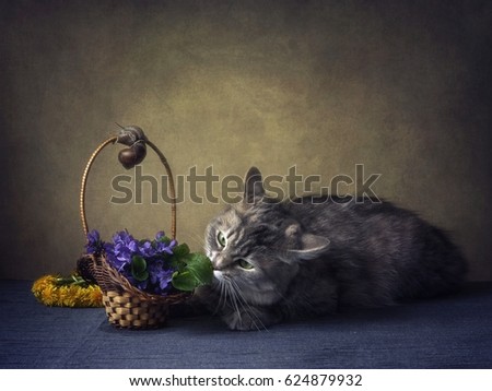 Cat and snail