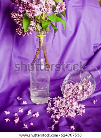Purple Lilac flowers in bottle with glass of flowers in purple background. Romantic decoration for houses and naturmort.